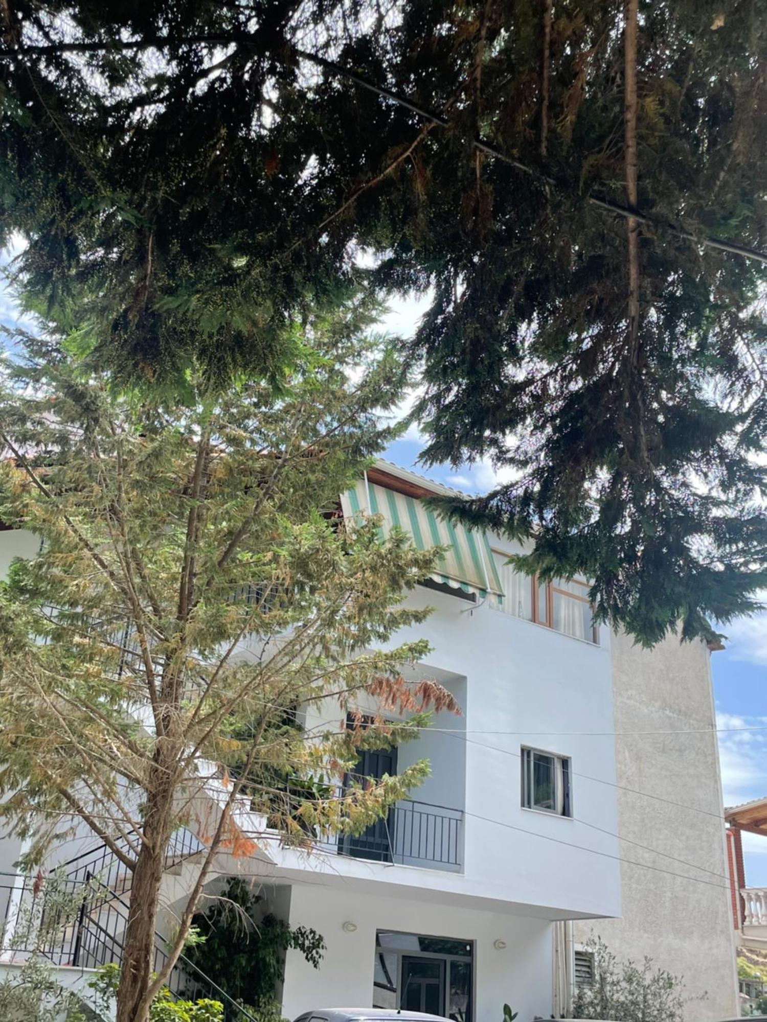 Freskia 3* Sarandë
