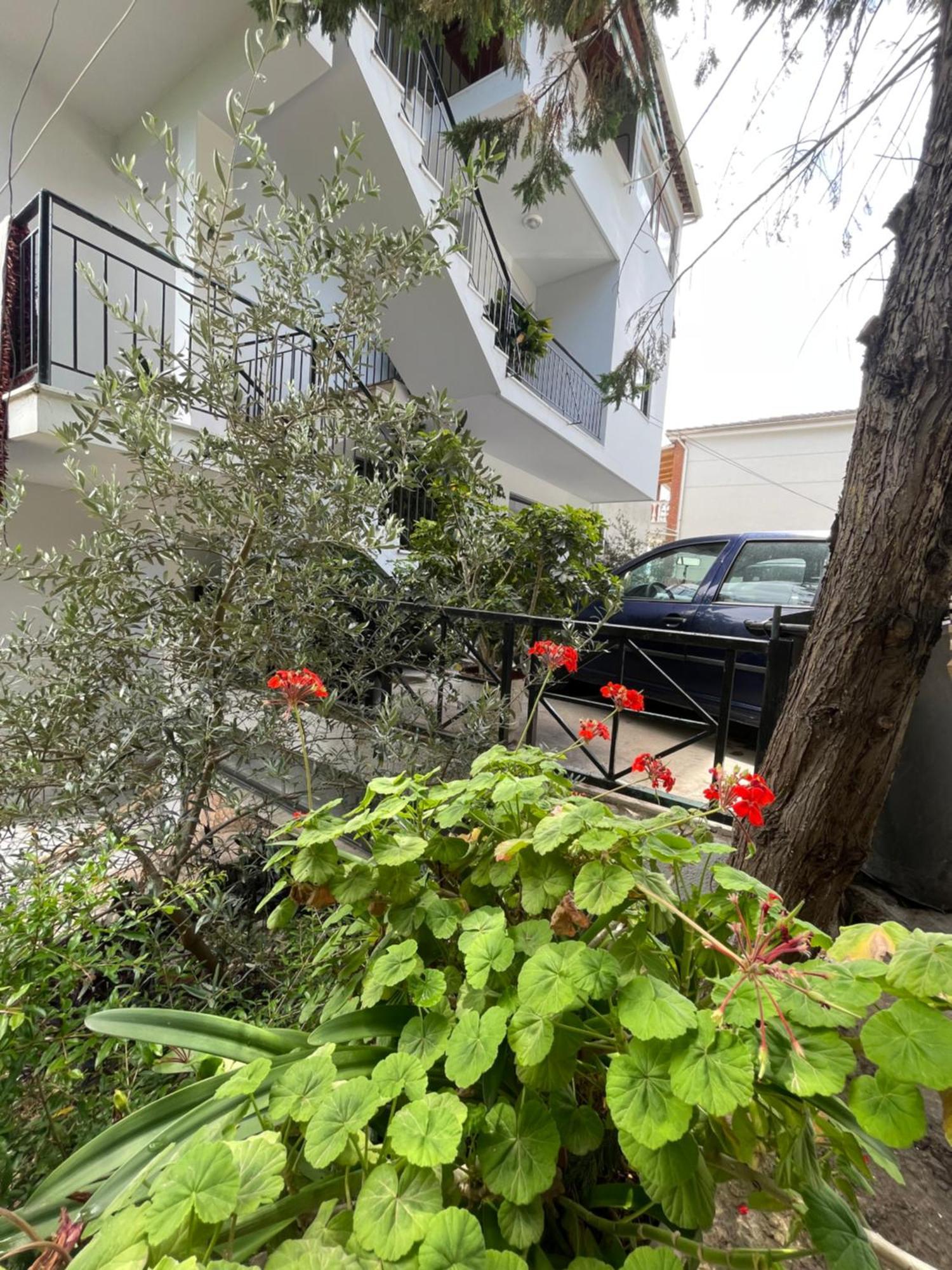 Freskia Hotel 3*