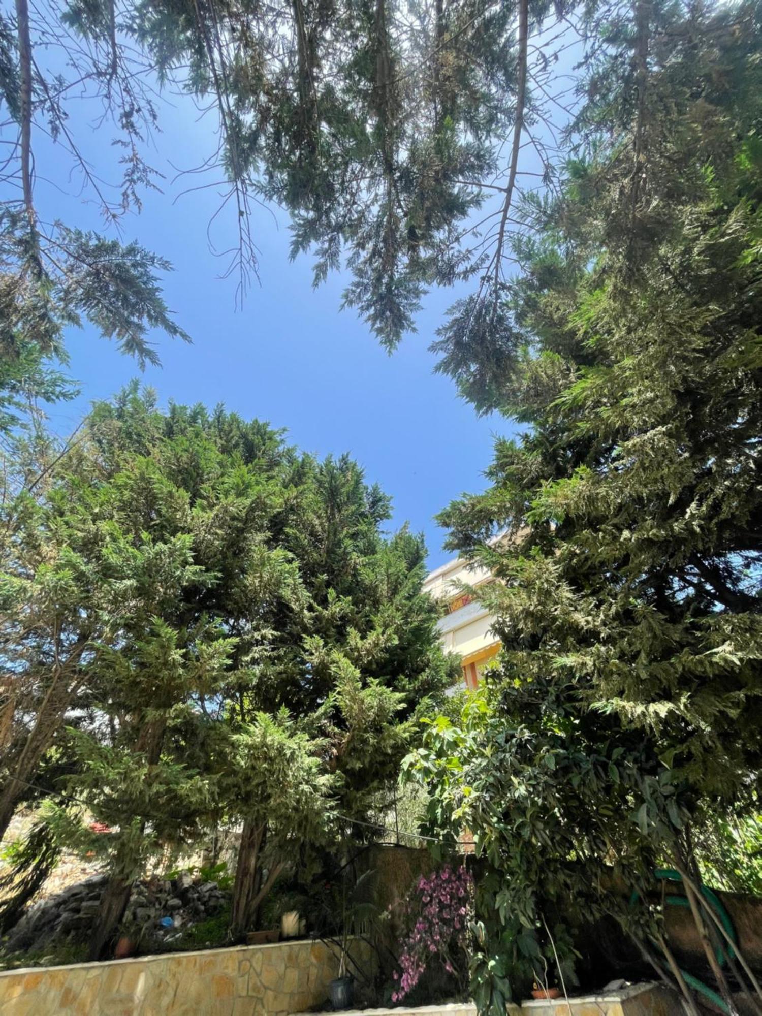 Hotel Freskia Sarandë